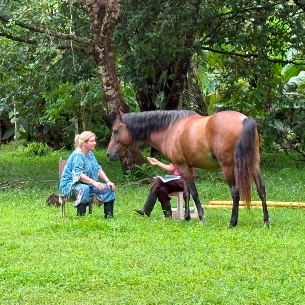 Horse Wisdom
