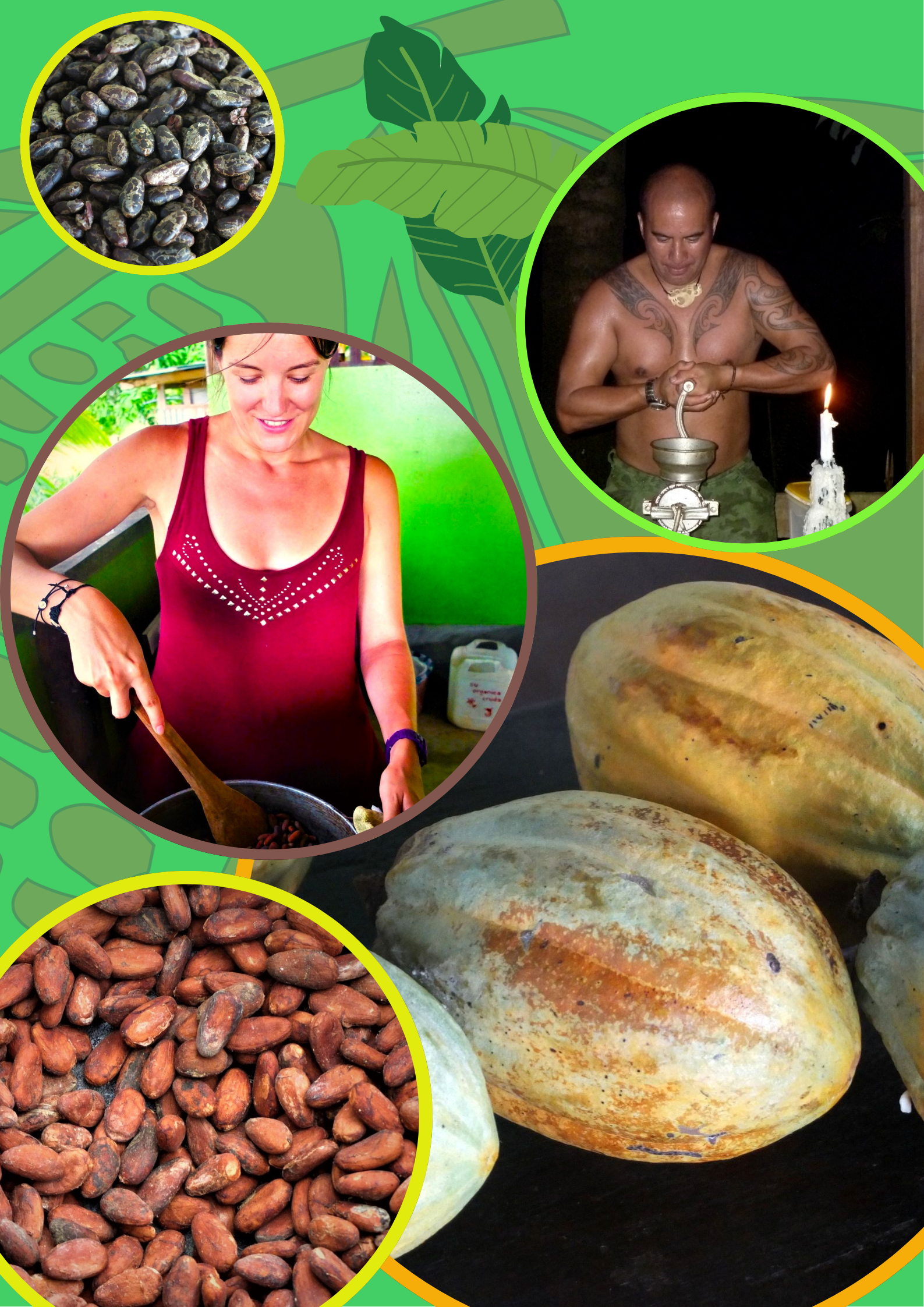 cacaotour
