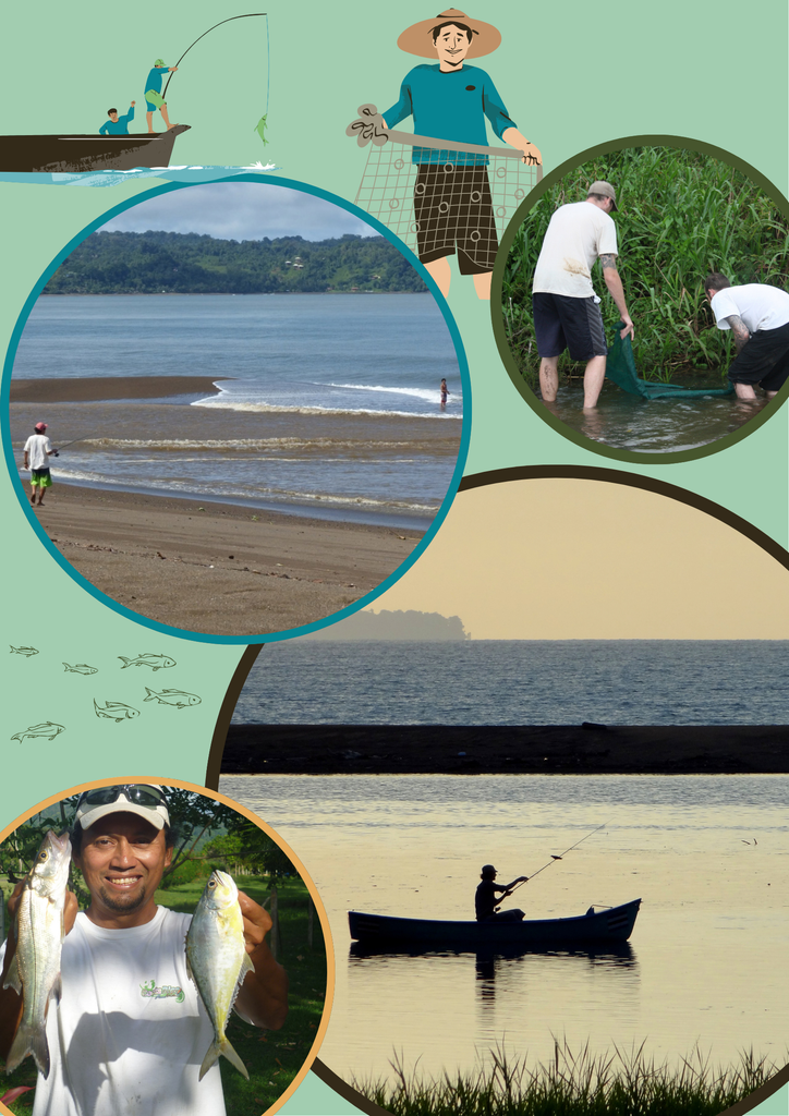 All Experiences cartel póster infografía sobre naturaleza fotográfico informativo verde (7)