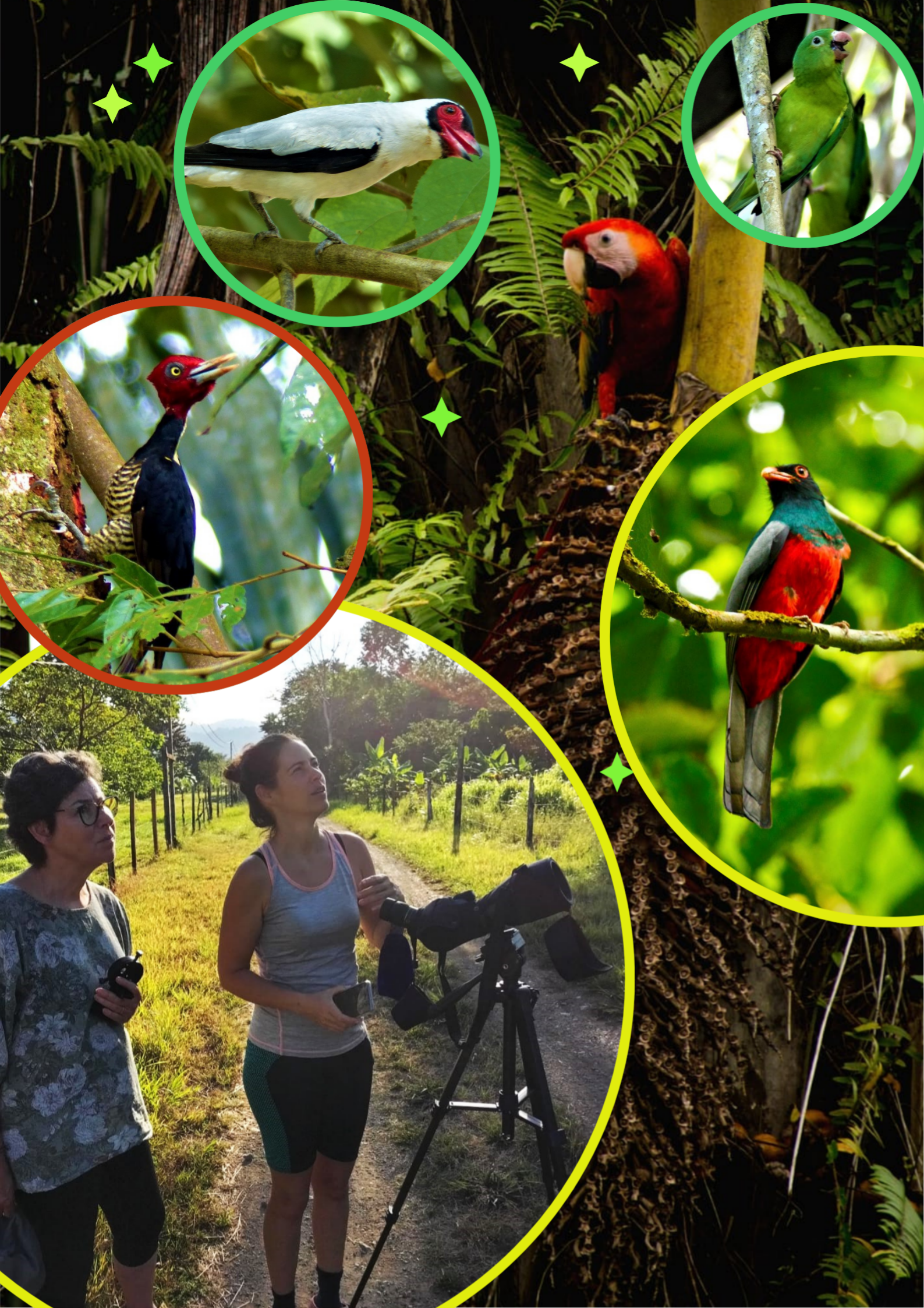 All Experiences birdwatching2
