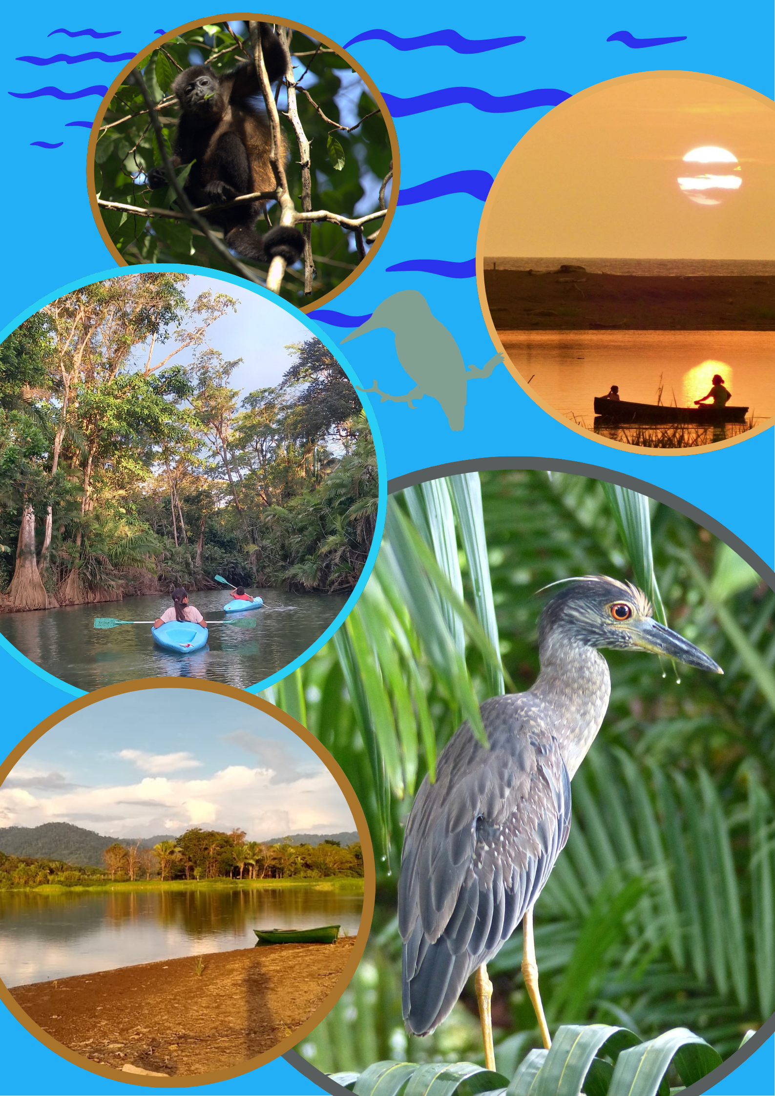 All Experiences canoetour